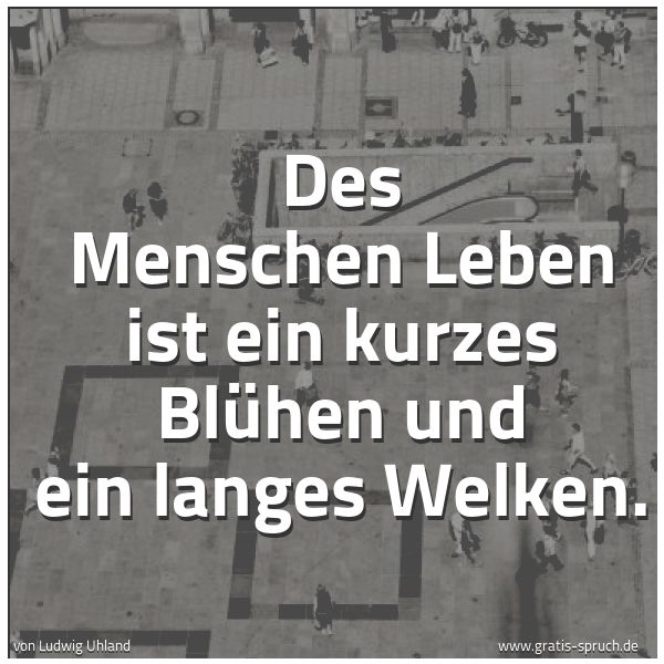 Spruchbild mit dem Text 'Des Menschen Leben ist
ein kurzes Blühen und ein langes Welken.'