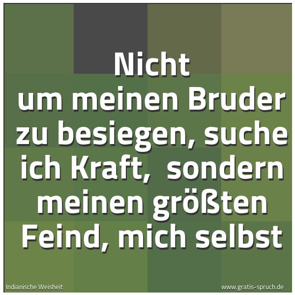 Spruchbild mit dem Text 'Nicht um meinen Bruder zu besiegen, suche ich Kraft,
sondern meinen größten Feind, mich selbst
'