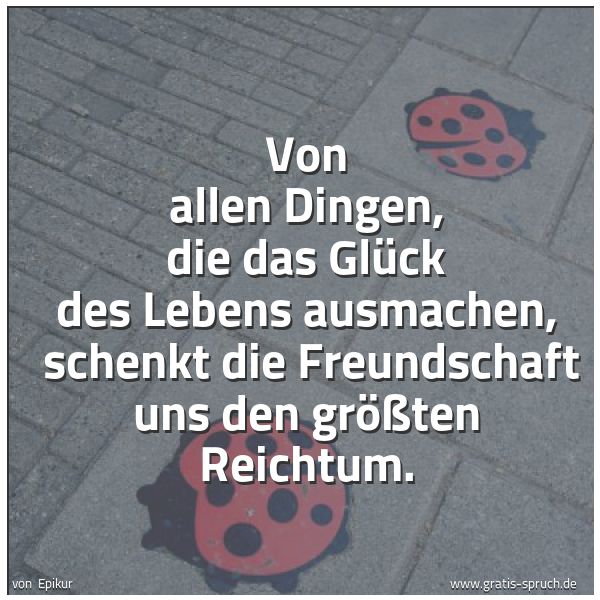 Spruchbild mit dem Text 'Von allen Dingen, die das Glück des Lebens ausmachen,
schenkt die Freundschaft uns den größten Reichtum.'