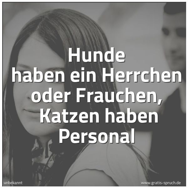 Spruchbild mit dem Text 'Hunde haben ein Herrchen oder Frauchen,
Katzen haben Personal'
