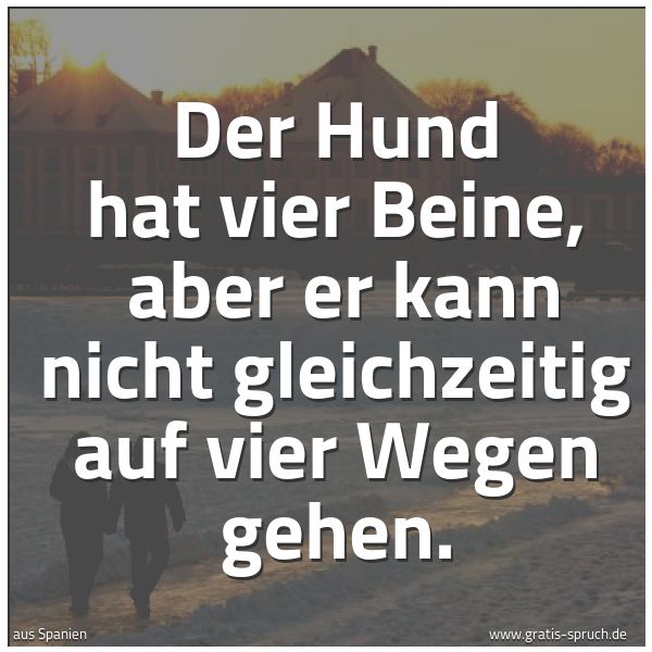 Spruchbild mit dem Text 'Der Hund hat vier Beine,
aber er kann nicht gleichzeitig auf vier Wegen gehen.'