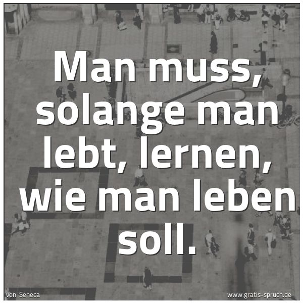 Spruchbild mit dem Text 'Man muss, solange man lebt, lernen, wie man leben soll.
'