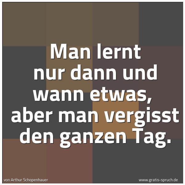 Spruchbild mit dem Text 'Man lernt nur dann und wann etwas,
aber man vergisst den ganzen Tag.
'
