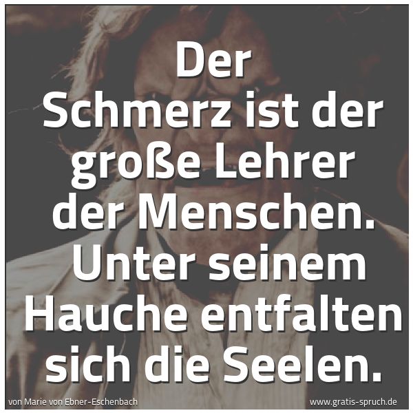 Spruchbild mit dem Text 'Der Schmerz ist der große Lehrer der Menschen.
Unter seinem Hauche entfalten sich die Seelen.'