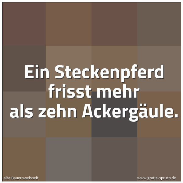 Spruchbild mit dem Text 'Ein Steckenpferd frisst mehr als zehn Ackergäule.'