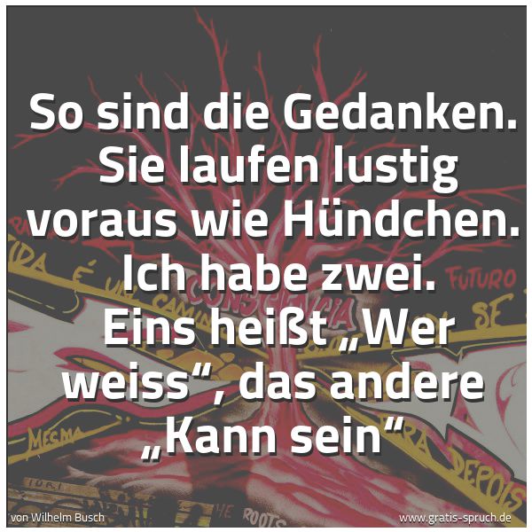 Spruchbild mit dem Text 'So sind die Gedanken.
Sie laufen lustig voraus wie Hündchen.
Ich habe zwei.
Eins heißt „Wer weiss“, das andere „Kann sein“'