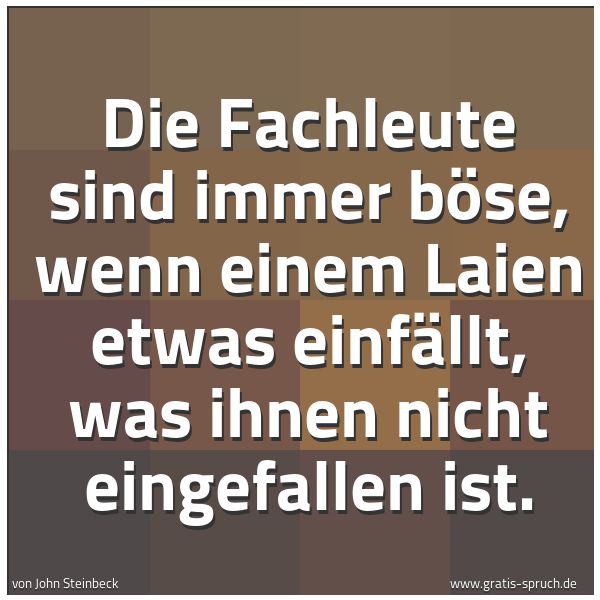 Spruchbild mit dem Text 'Die Fachleute sind immer böse,
wenn einem Laien etwas einfällt,
was ihnen nicht eingefallen ist.
'