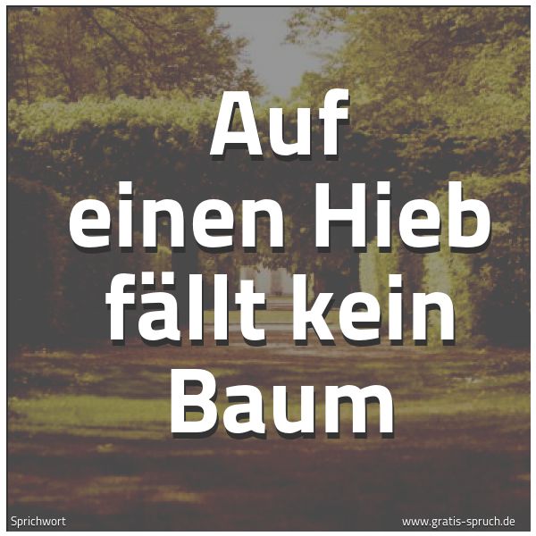 Spruchbild mit dem Text 'Auf einen Hieb fällt kein Baum'