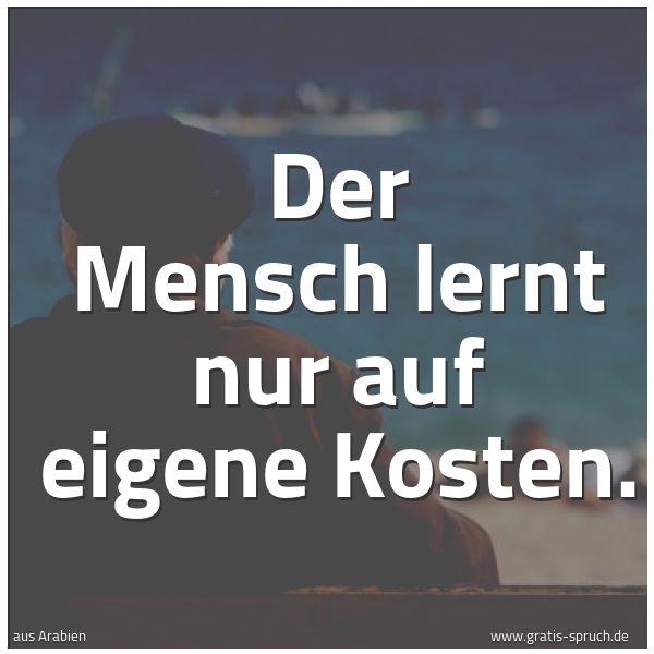 Spruchbild mit dem Text 'Der Mensch lernt nur auf eigene Kosten.'