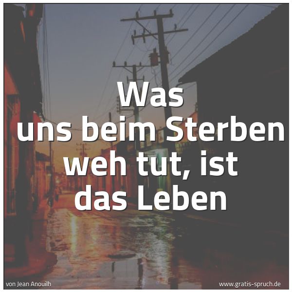 Spruchbild mit dem Text 'Was uns beim Sterben weh tut, ist das Leben '