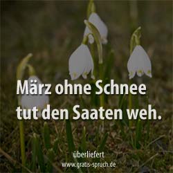 März ohne Schnee tut den Saaten weh.